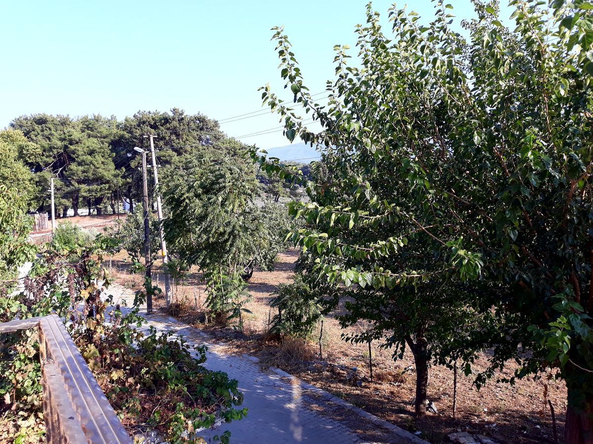 Can Efes Hotel Selcuk ภายนอก รูปภาพ